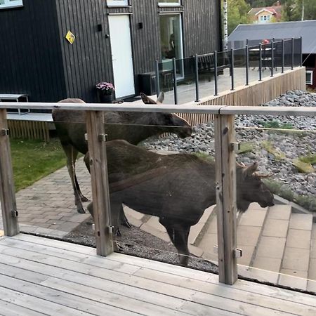 Cabin In The Woods, Close To Lake Maelaren 에스킬스투나 외부 사진