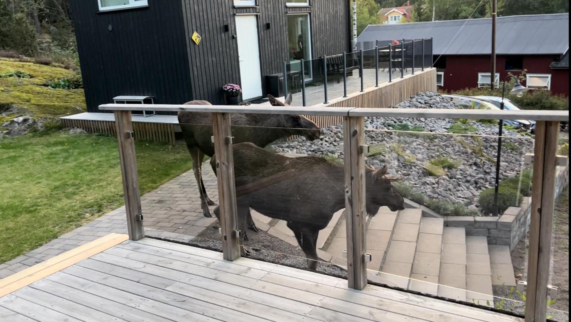 Cabin In The Woods, Close To Lake Maelaren 에스킬스투나 외부 사진
